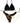 Bikini Donna IAM