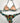 Bikini IAM
