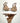 Bikini Changit