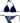 Bikini Donna IAM