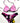 Bikini Donna F**K