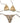 Bikini Donna IAM