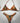 Bikini IAM