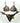 Bikini F**K