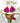 Bikini Donna 4Giveness