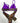 Bikini Donna 4Giveness