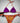 Bikini Beach Brasil