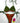 Bikini Donna 4Giveness