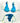 Bikini Changit