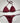 Bikini IAM