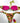 Bikini Donna 4Giveness
